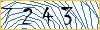 Type the numbers that you see in the picture