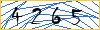 Type the numbers that you see in the picture