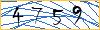 Type the numbers that you see in the picture