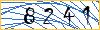 Type the numbers that you see in the picture