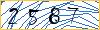 Type the numbers that you see in the picture