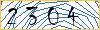 Type the numbers that you see in the picture