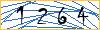 Type the numbers that you see in the picture