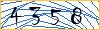 Type the numbers that you see in the picture