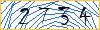 Type the numbers that you see in the picture