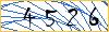 Type the numbers that you see in the picture
