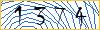 Type the numbers that you see in the picture