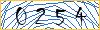 Type the numbers that you see in the picture