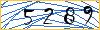 Type the numbers that you see in the picture