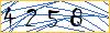 Type the numbers that you see in the picture