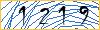 Type the numbers that you see in the picture