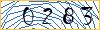Type the numbers that you see in the picture