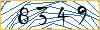 Type the numbers that you see in the picture