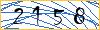 Type the numbers that you see in the picture