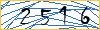 Type the numbers that you see in the picture
