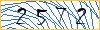 Type the numbers that you see in the picture