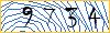 Type the numbers that you see in the picture