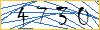 Type the numbers that you see in the picture