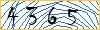 Type the numbers that you see in the picture