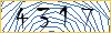 Type the numbers that you see in the picture