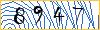 Type the numbers that you see in the picture