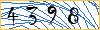 Type the numbers that you see in the picture