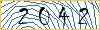 Type the numbers that you see in the picture