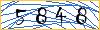 Type the numbers that you see in the picture