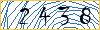 Type the numbers that you see in the picture