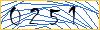 Type the numbers that you see in the picture