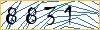 Type the numbers that you see in the picture
