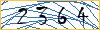 Type the numbers that you see in the picture
