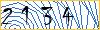 Type the numbers that you see in the picture