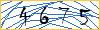Type the numbers that you see in the picture