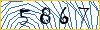 Type the numbers that you see in the picture