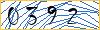 Type the numbers that you see in the picture