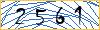 Type the numbers that you see in the picture