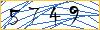 Type the numbers that you see in the picture
