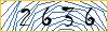 Type the numbers that you see in the picture
