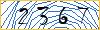 Type the numbers that you see in the picture