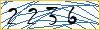 Type the numbers that you see in the picture