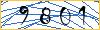 Type the numbers that you see in the picture