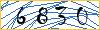 Type the numbers that you see in the picture