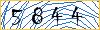 Type the numbers that you see in the picture