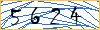 Type the numbers that you see in the picture