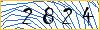 Type the numbers that you see in the picture
