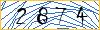 Type the numbers that you see in the picture