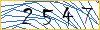 Type the numbers that you see in the picture