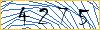 Type the numbers that you see in the picture