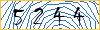 Type the numbers that you see in the picture